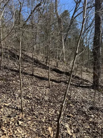 0 Ben Gentry Lane Elmwood TN 38560