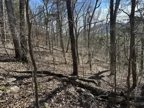 0 Ben Gentry Lane Elmwood TN 38560