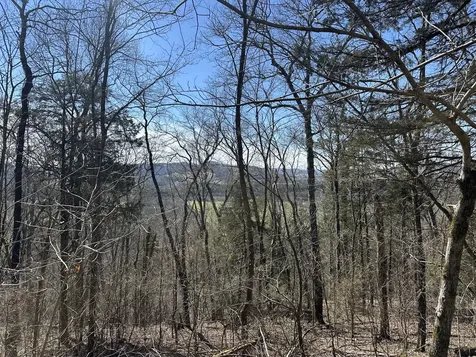 0 Ben Gentry Lane Elmwood TN 38560