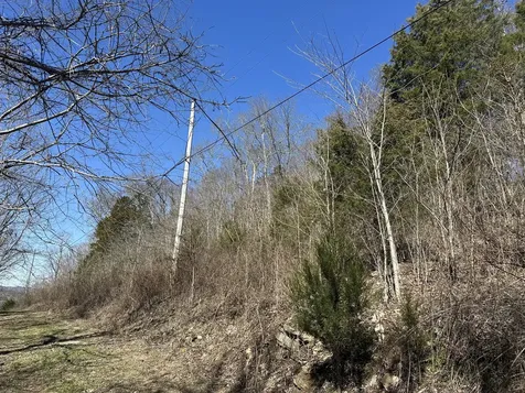 0 Ben Gentry Lane Elmwood TN 38560