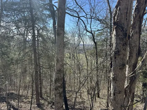 0 Ben Gentry Lane Elmwood TN 38560