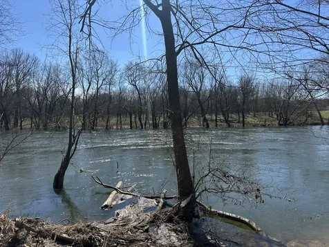 0 Ben Gentry Lane Elmwood TN 38560