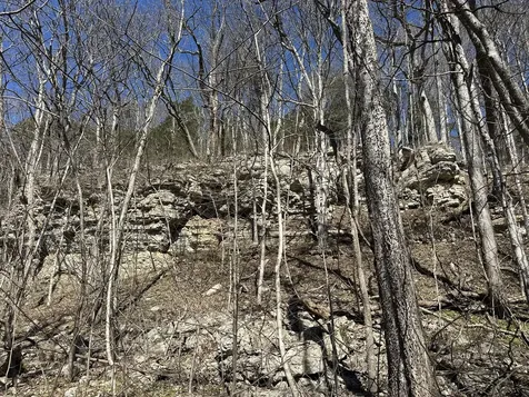 0 Ben Gentry Lane Elmwood TN 38560
