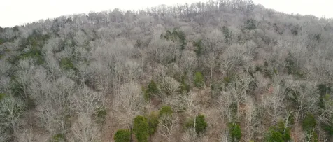 0 Lancaster Highway Hickman TN 38567