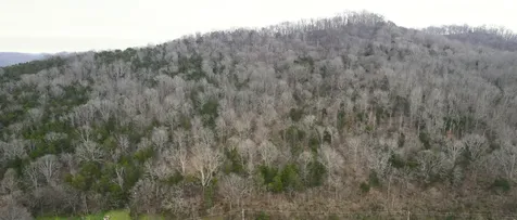 0 Lancaster Highway Hickman TN 38567