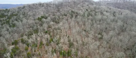 0 Lancaster Highway Hickman TN 38567