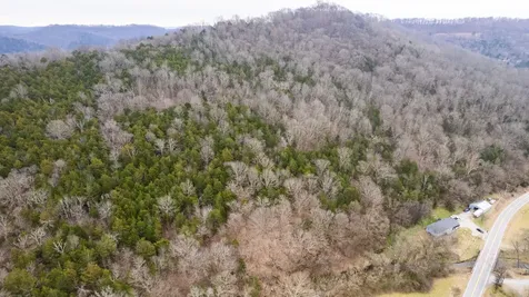 0 Lancaster Highway Hickman TN 38567