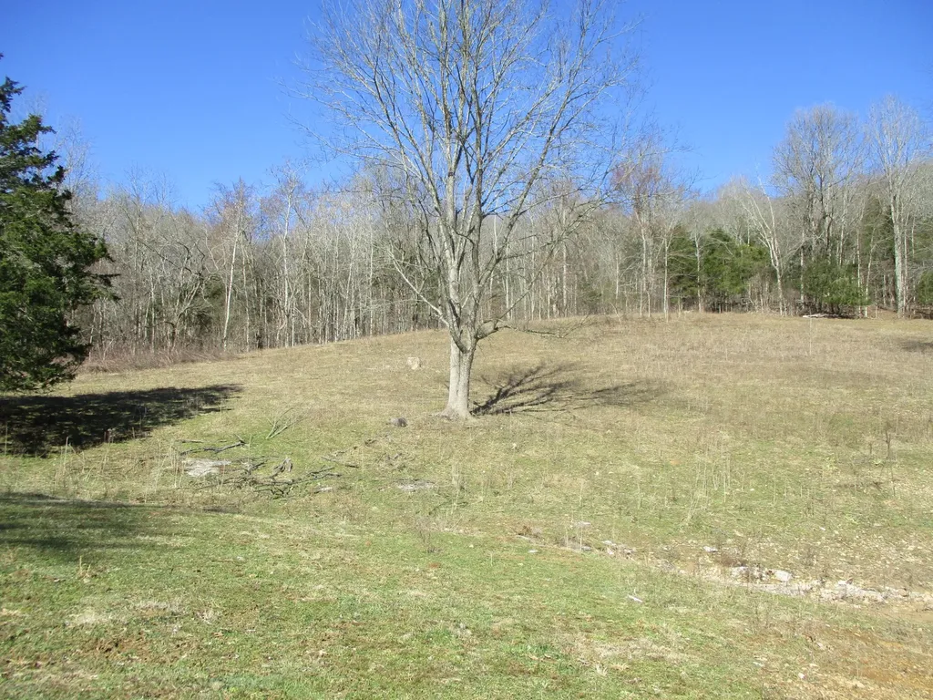 3800 Patton Hollow Road Watertown TN 37184