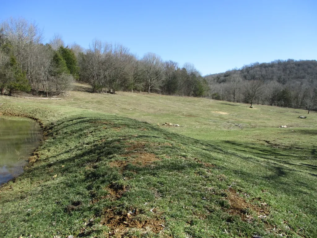 3800 Patton Hollow Road Watertown TN 37184