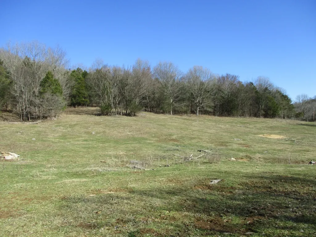 3800 Patton Hollow Road Watertown TN 37184