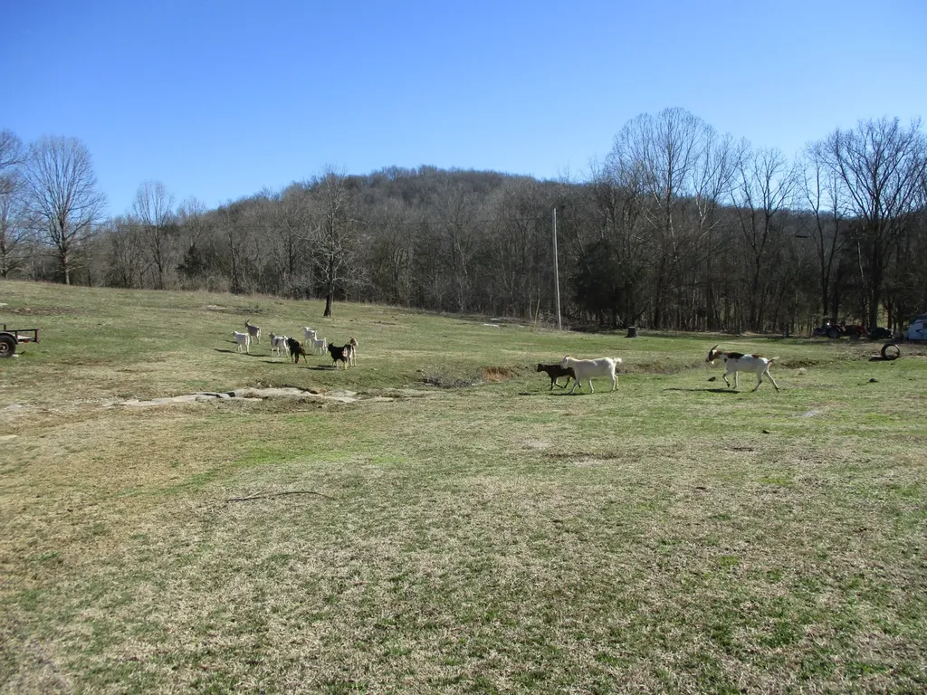 3800 Patton Hollow Road Watertown TN 37184