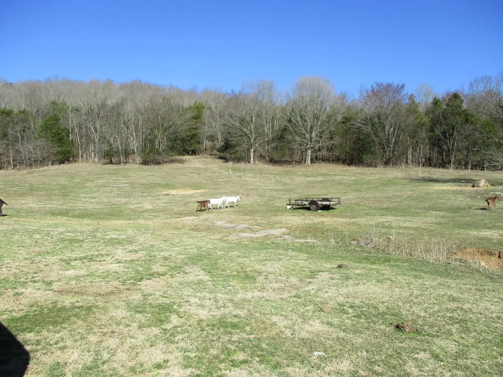 3800 Patton Hollow Road Watertown TN 37184