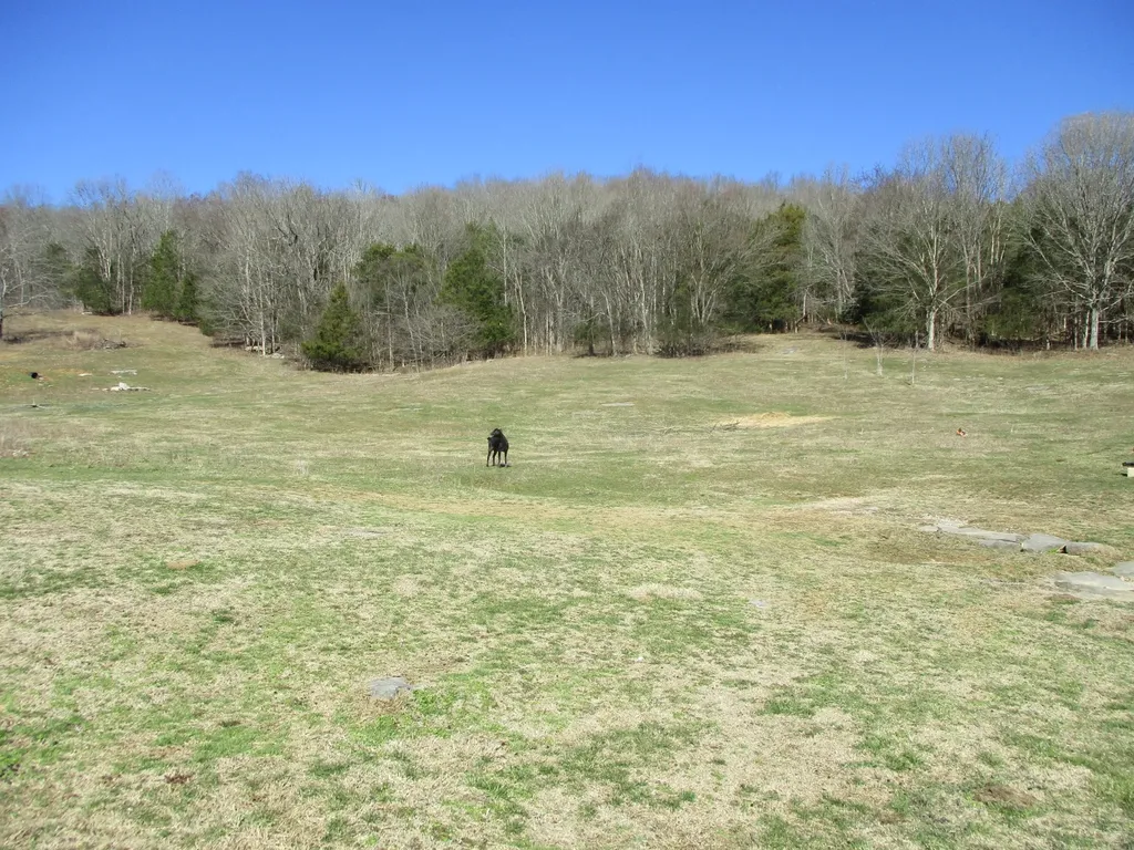 3800 Patton Hollow Road Watertown TN 37184