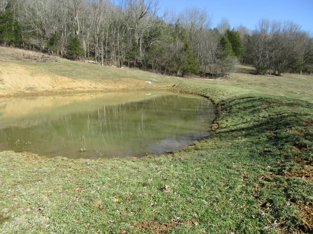 3800 Patton Hollow Road Watertown TN 37184