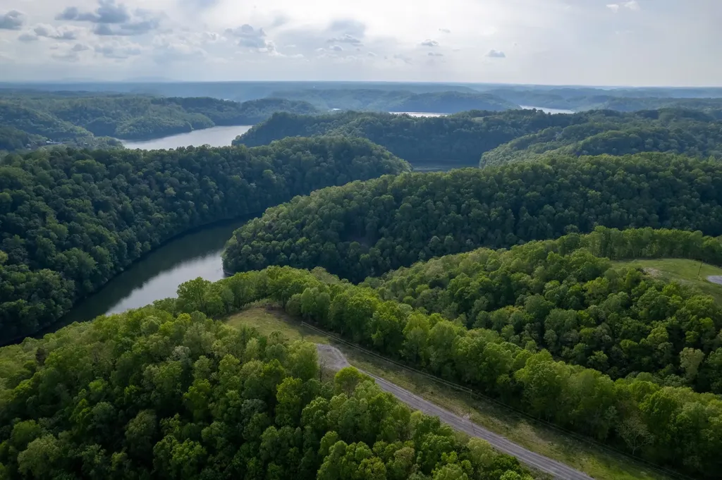 35 Eli Lane Baxter TN 38544