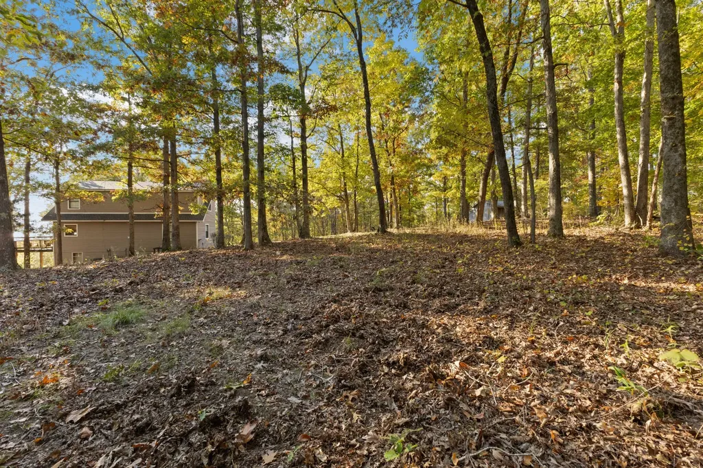 9828 Clydeton Road Waverly TN 37185