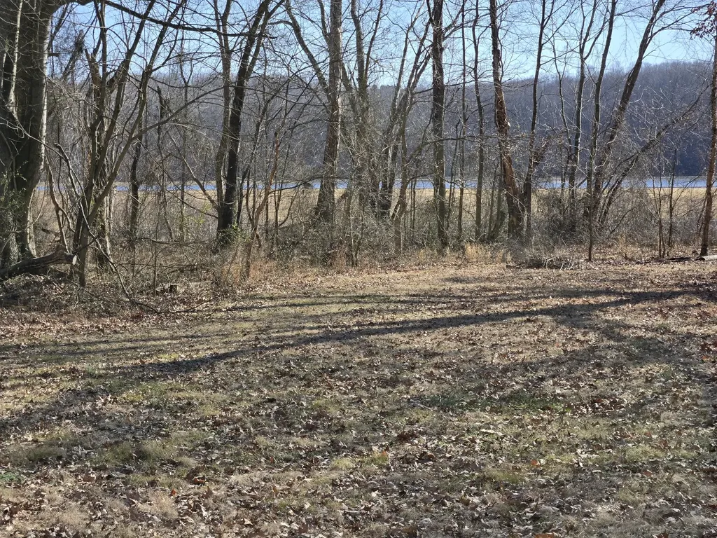 9828 Clydeton Road Waverly TN 37185