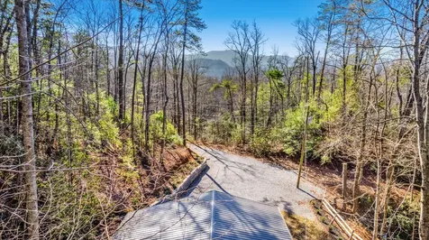 1137 Old Cartertown Road Gatlinburg TN 37738