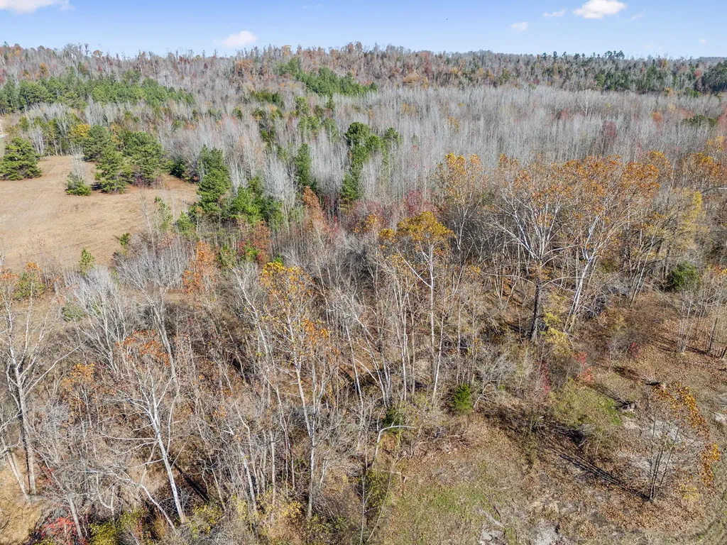 0 Tennessee River Blue Creek Road Waverly TN 37185