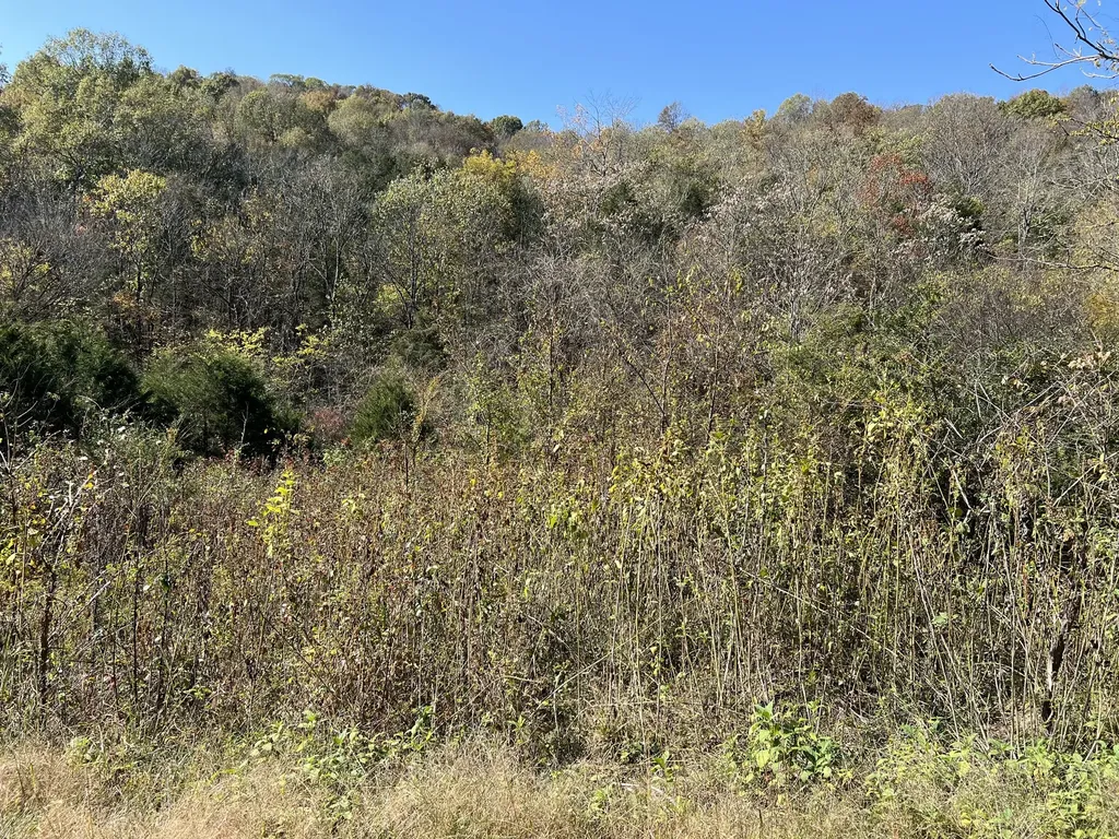 0 Reece Hollow Road Carthage TN 37030