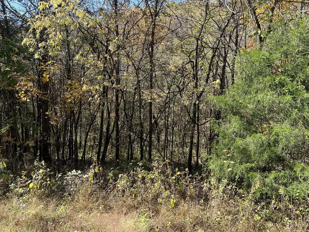 0 Reece Hollow Road Carthage TN 37030