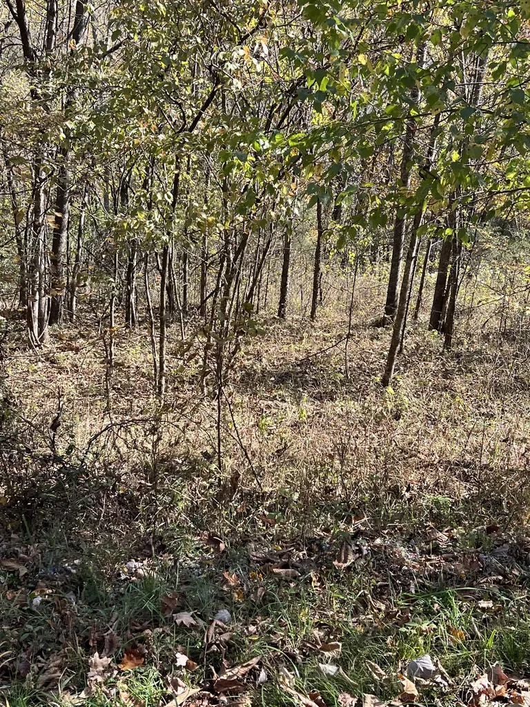 0 Reece Hollow Road Carthage TN 37030