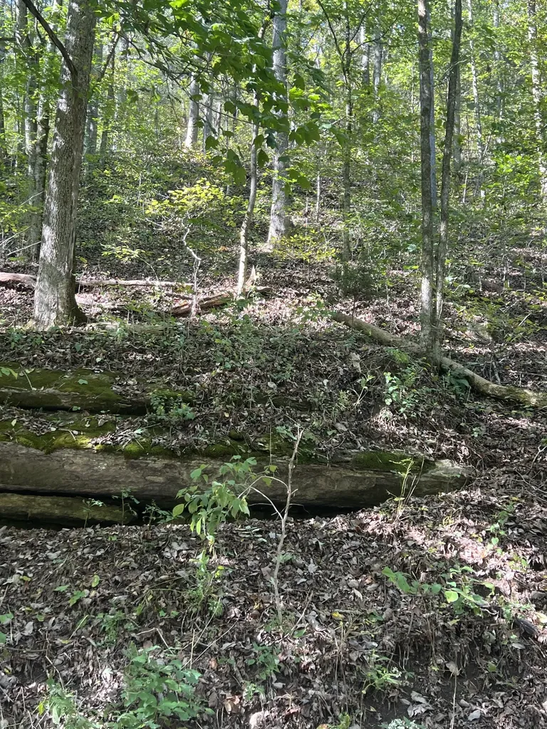 0 Neeley Creek Road Celina TN 38551