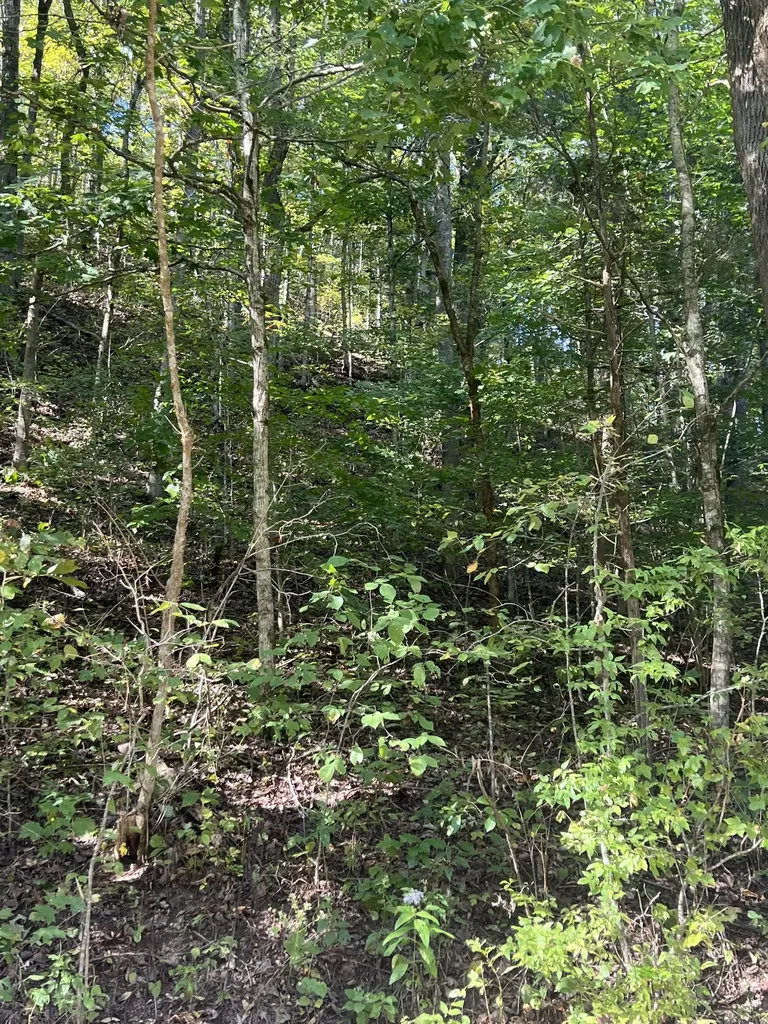 0 Neeley Creek Road Celina TN 38551