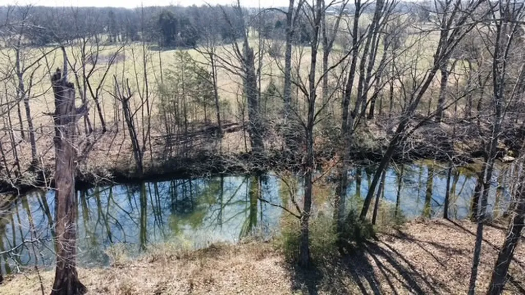 1 Pyles Road Chapel Hill TN 37034