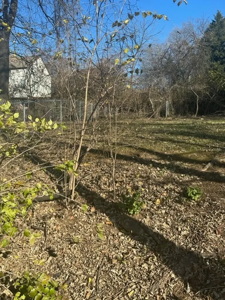 1002 Ozark St, SW Nashville TN 37206