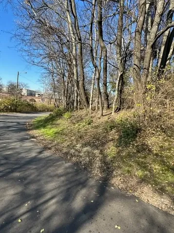 1002 Ozark St, SW Nashville TN 37206
