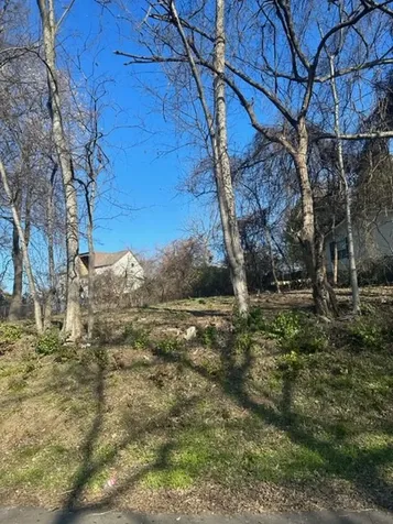 1002 Ozark St, SW Nashville TN 37206
