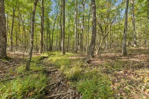 0 Timberwood Trace Monteagle TN 37356