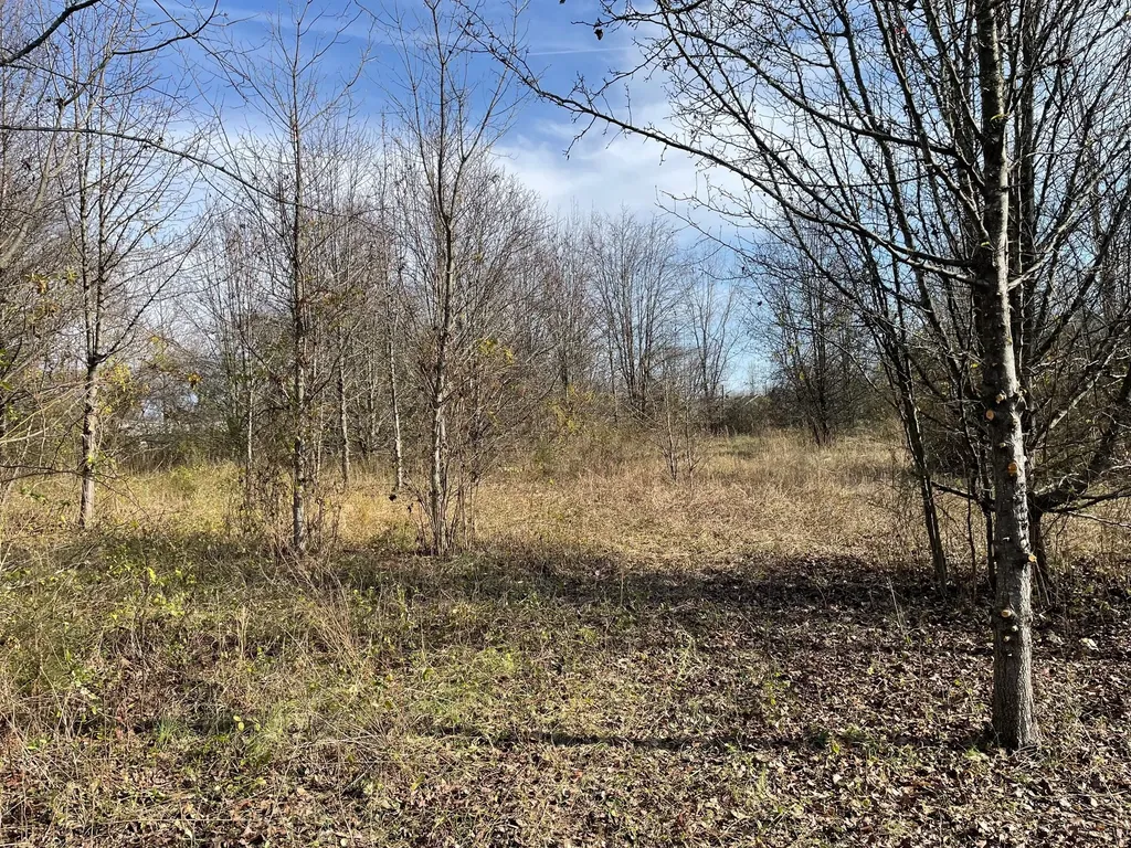 0 Blythe Avenue Gallatin TN 37066