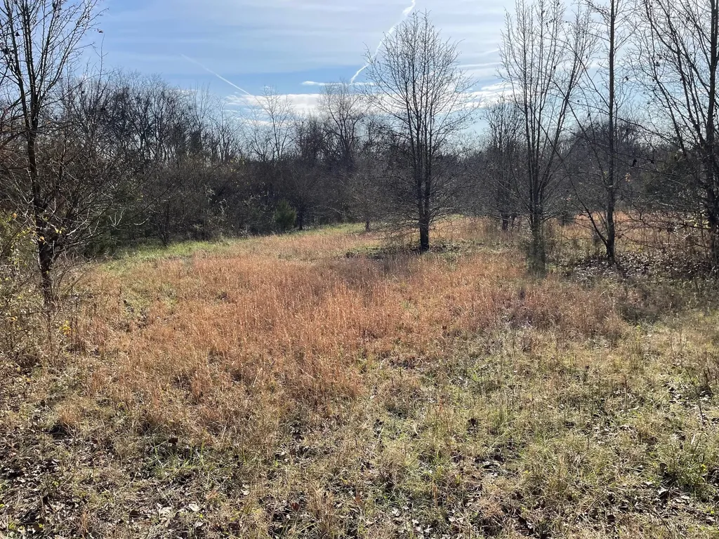 0 Blythe Avenue Gallatin TN 37066