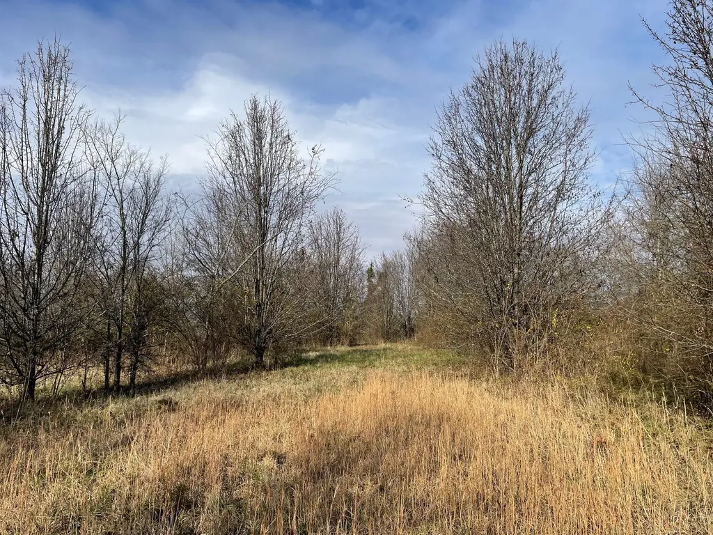 0 Blythe Avenue Gallatin TN 37066