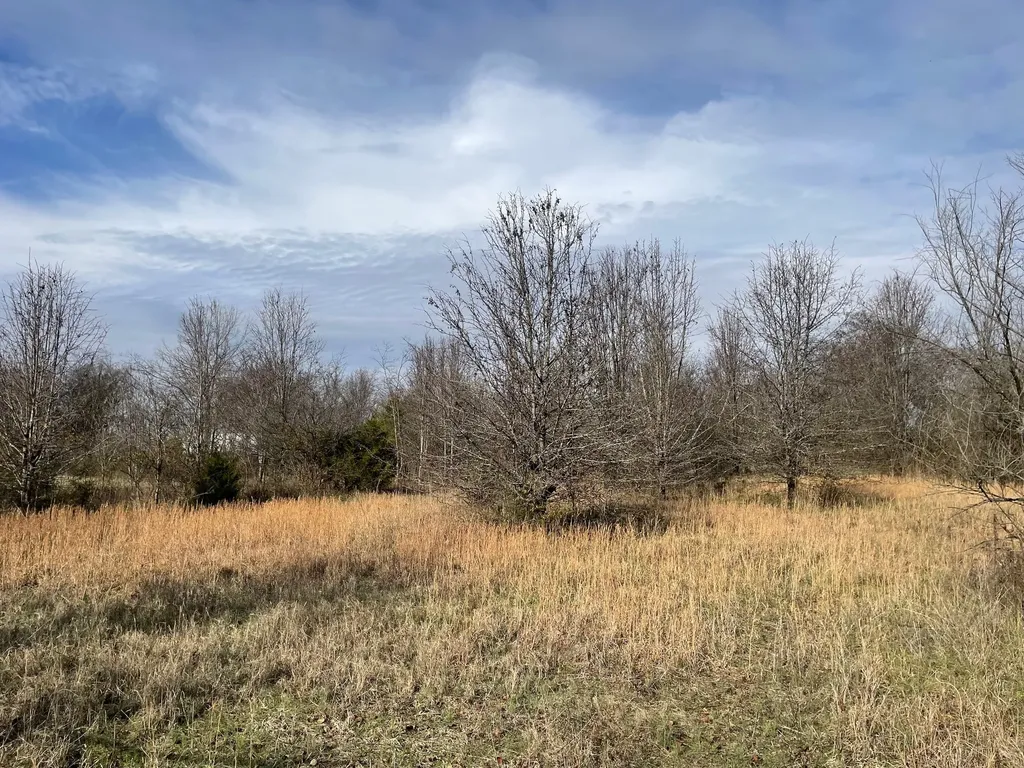 0 Blythe Avenue Gallatin TN 37066