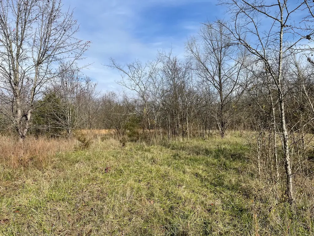 0 Blythe Avenue Gallatin TN 37066