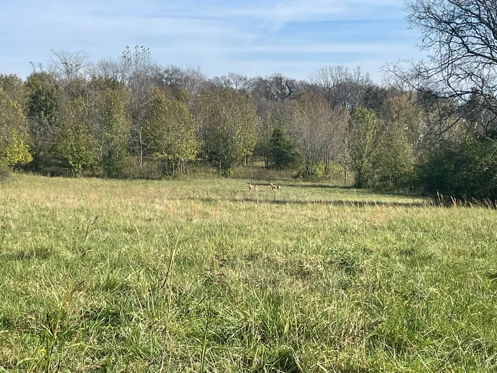0 Blythe Avenue Gallatin TN 37066