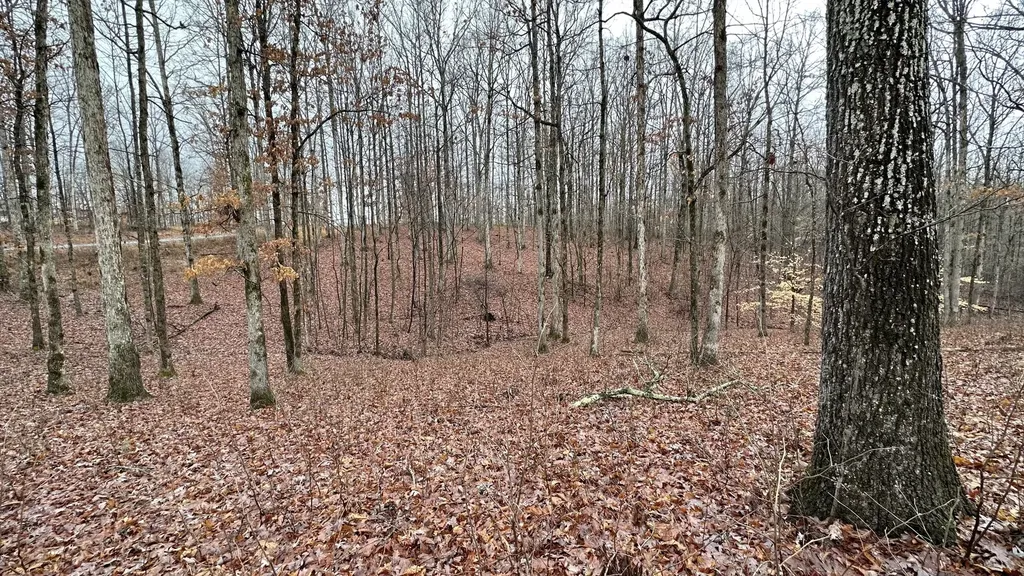 1385 Ridgewood Drive Mc Ewen TN 37101