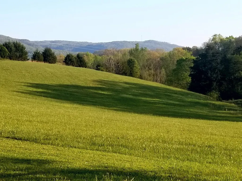 919 John Burch Road Dunlap TN 37327