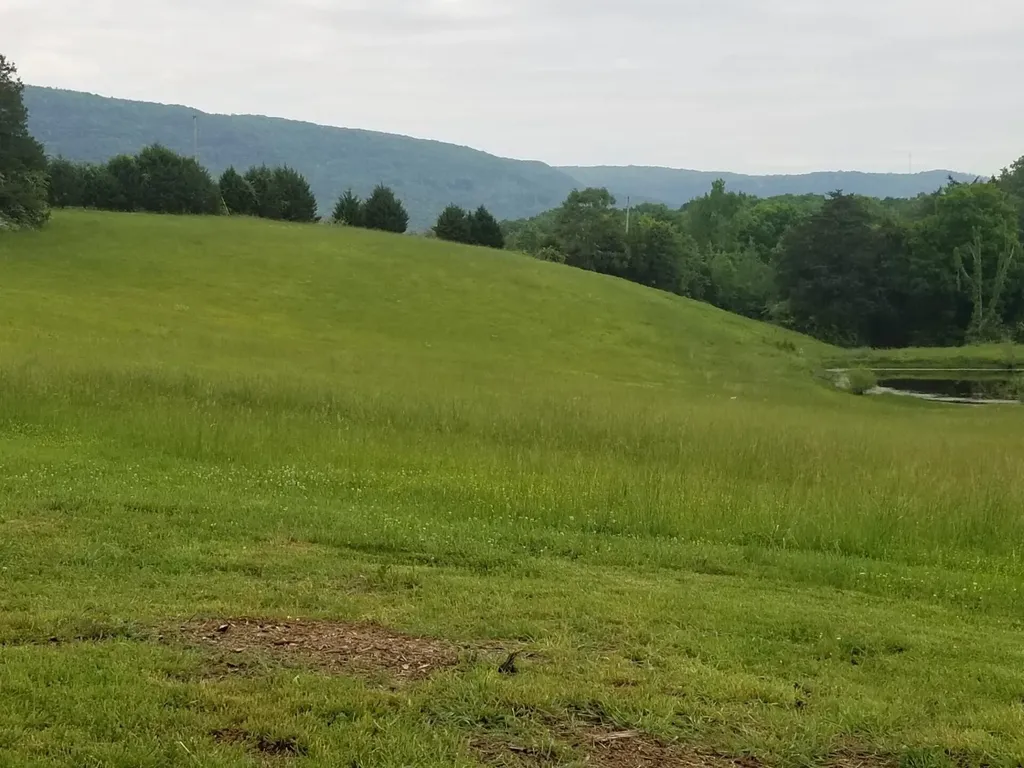 919 John Burch Road Dunlap TN 37327