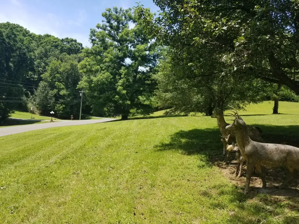 919 John Burch Road Dunlap TN 37327