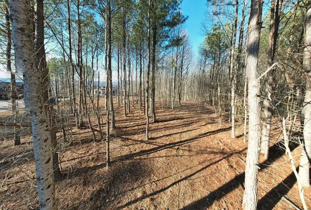 0 Waterwheel Way Jasper TN 37347