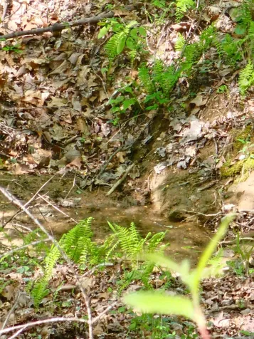 0 Waterwheel Way Jasper TN 37347