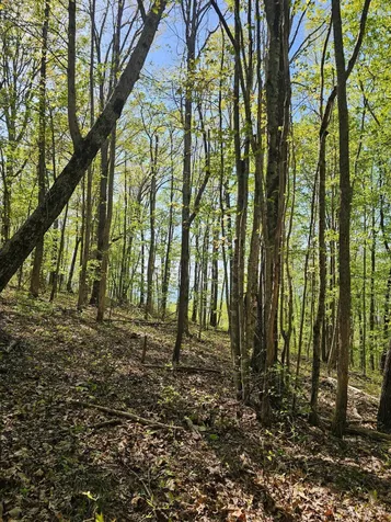0 Waterwheel Way Jasper TN 37347