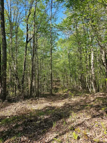 0 Waterwheel Way Jasper TN 37347