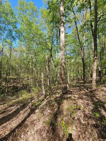 0 Waterwheel Way Jasper TN 37347