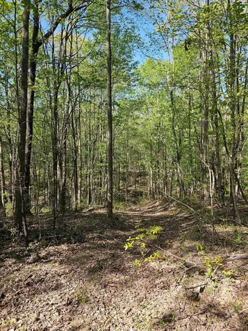0 Waterwheel Way Jasper TN 37347