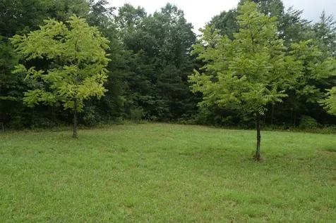 16226 Sr 50 Altamont TN 37301
